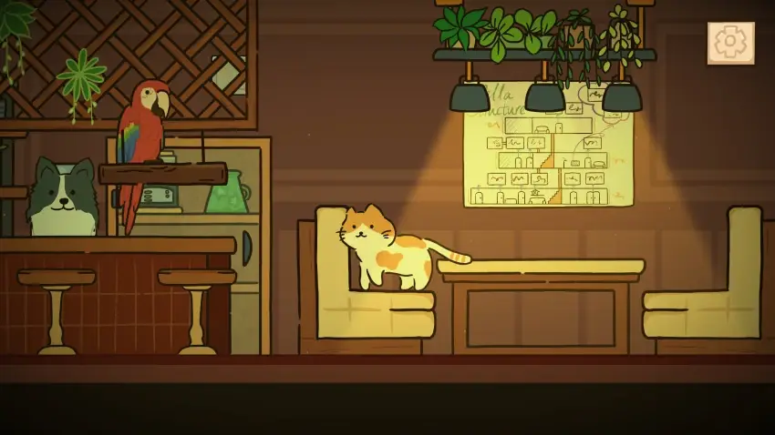 Cat at Home