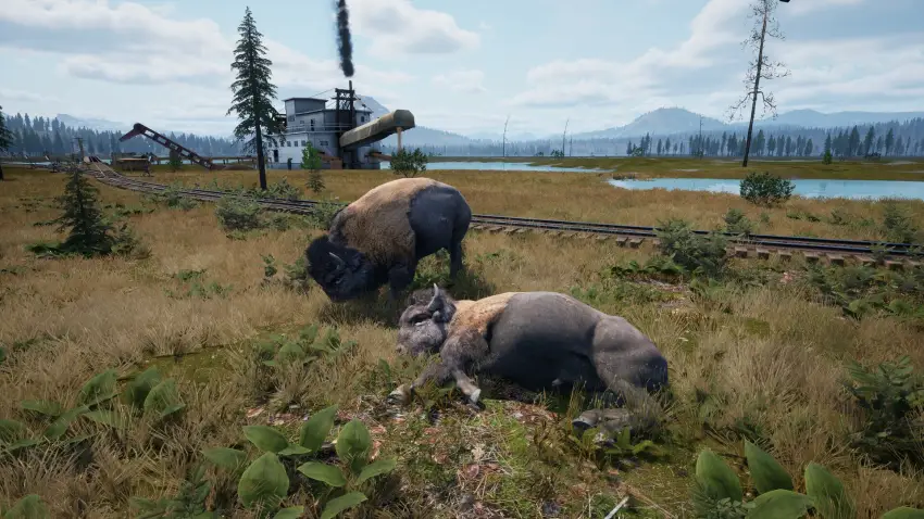 Railroads Online - Explorer DLC